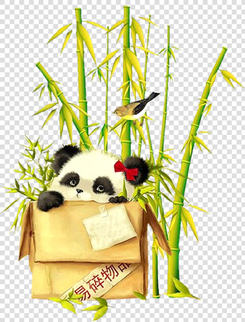 Bamboo Clipart Money Png Black And White Library Forgetmenot   Pandas Papel De Parede De Celular Desenhos  Transparent PngTransparent PNG