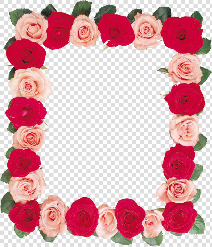 Floral Frame Png   Рамка Розы Пнг  Transparent PngTransparent PNG