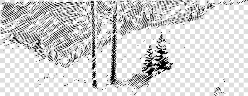 Art monochrome Photography grass Family   Winter Trees Clip Art  HD Png DownloadTransparent PNG