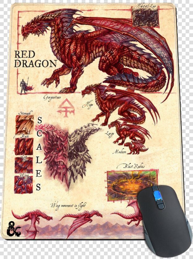 Red Dragon A Practical Guide To Dragons  HD Png DownloadTransparent PNG