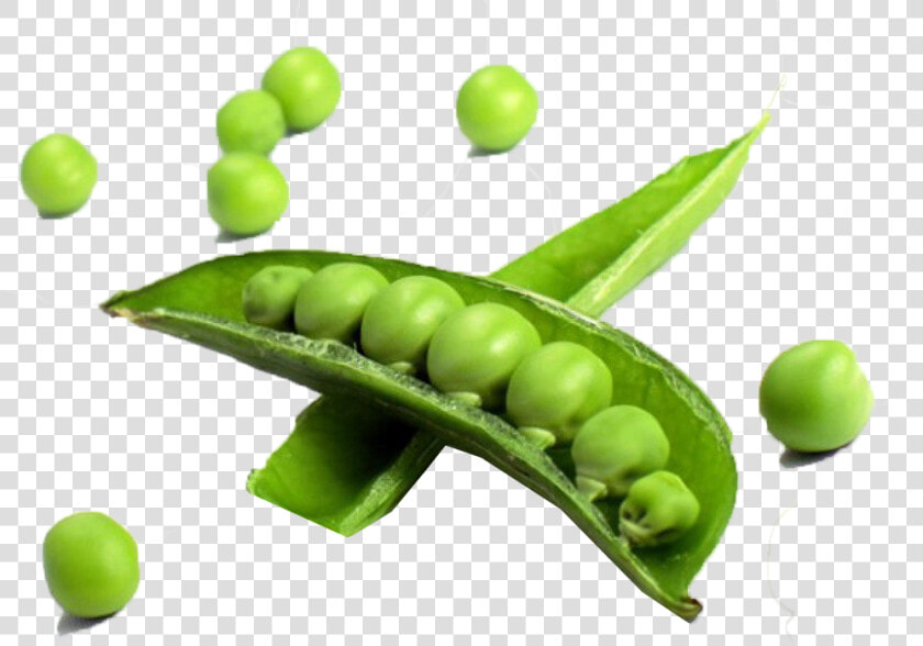 Pea Transparent Free Png   Vegetables In A Single  Png DownloadTransparent PNG