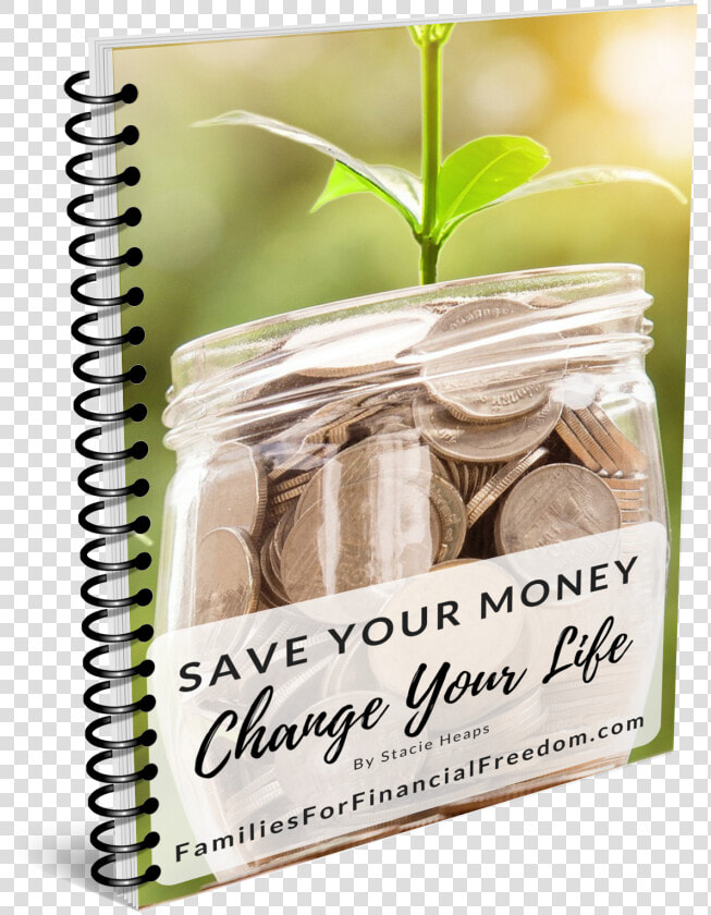 Save Your Money Ebook   Financial Prosperity  HD Png DownloadTransparent PNG