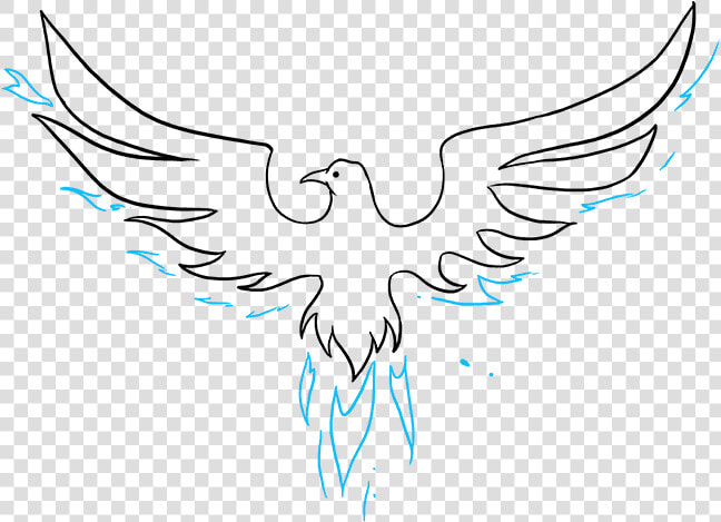 How To Draw Phoenix   Bird Easy Drawing  HD Png DownloadTransparent PNG