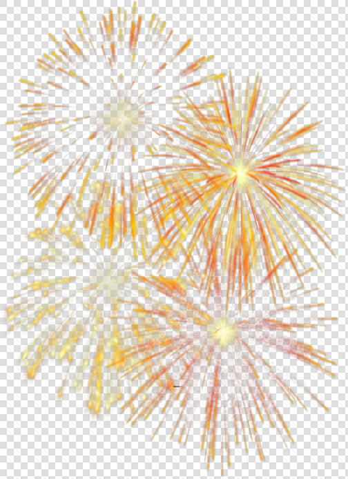 Fireworks   Fuegos Pirotecnicos Sin Fondo  HD Png DownloadTransparent PNG