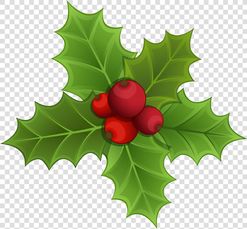 Mistletoe Christmas Clip Art   Transparent Background Mistletoe Clipart  HD Png DownloadTransparent PNG