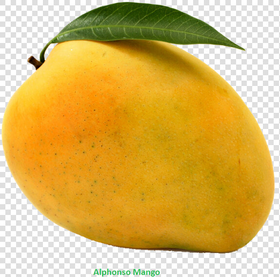 Mango   Mango Png  Transparent PngTransparent PNG