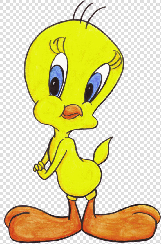 Tweety Bird Classic Cartoon Network Collab By Moonymina   Cartoon Network Bird Characters  HD Png DownloadTransparent PNG