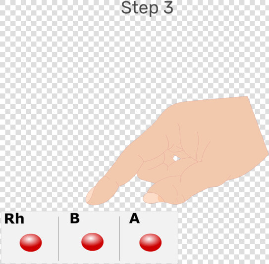 Animation Of Large Drops Of Blood Being Placed In Each   Illustration  HD Png DownloadTransparent PNG