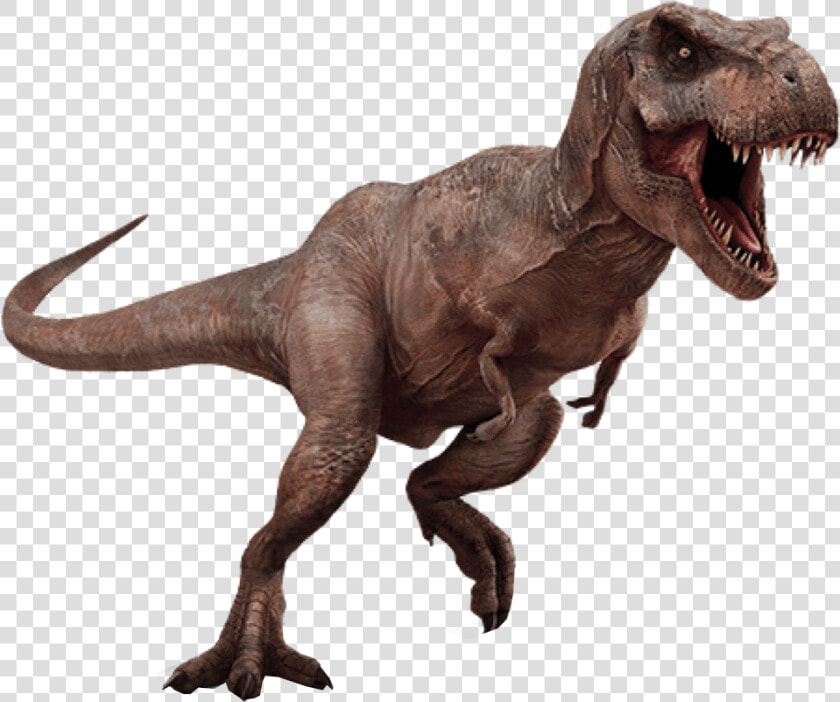 T Rex Dinosaurs Png Pluspng   Dinosaur Transparent Background  Png DownloadTransparent PNG