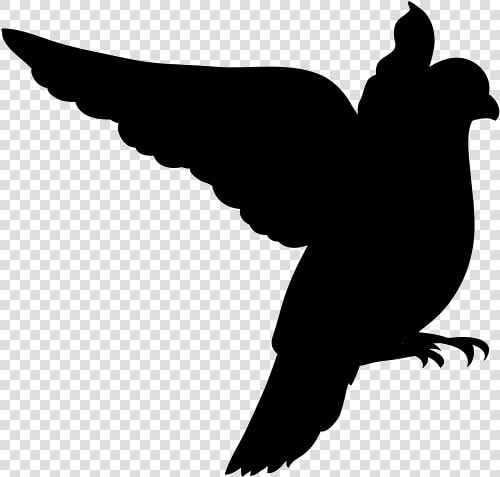 Clip Art Birdwatching Royalty free Vector Graphics   Birds On A Branch  HD Png DownloadTransparent PNG