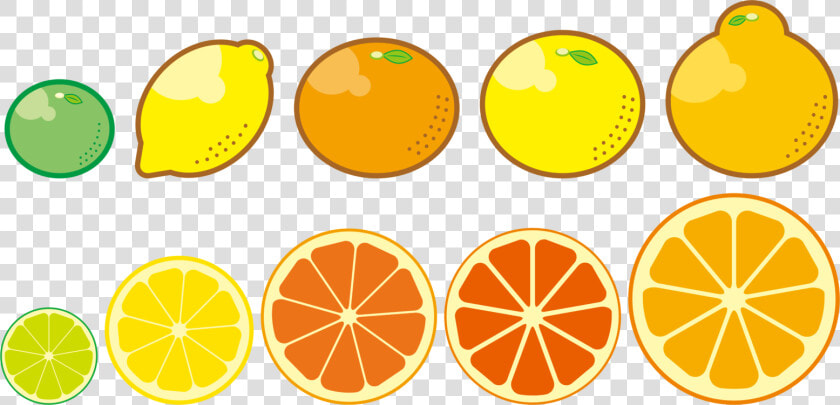 Plant vegetarian Food lemon   Citrus Trees Clip Art  HD Png DownloadTransparent PNG