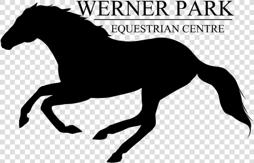 Vector Horses Horse Stable  HD Png DownloadTransparent PNG