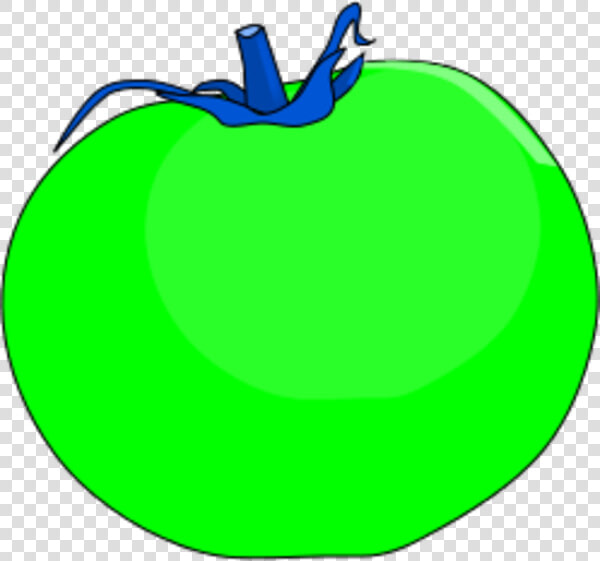 Tomato Vector Clip Art   Green Tomatoes Clipart  HD Png DownloadTransparent PNG