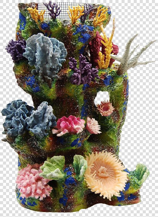 Transparent Coral Reef Clipart   Artificial Coral Wall  HD Png DownloadTransparent PNG