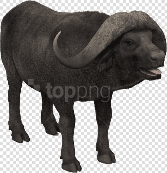 Statue bovine working And White water Buffalo sculpture bull   Bull  HD Png DownloadTransparent PNG