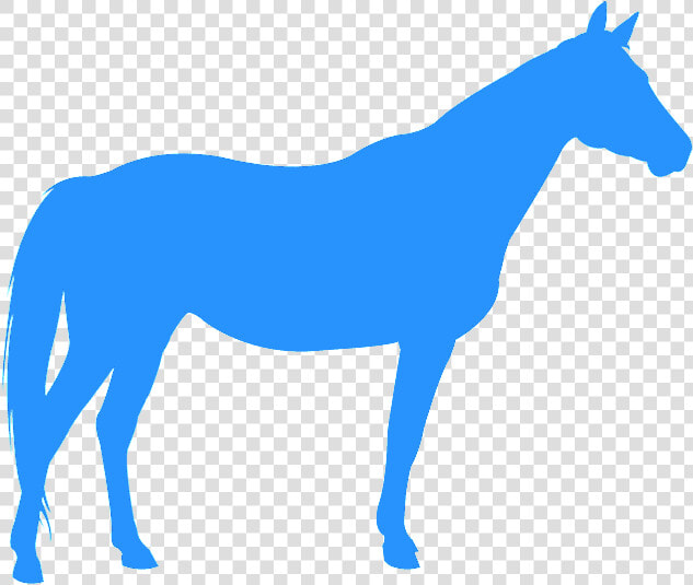 Siluetas De Cavalo Quarto De Milha  HD Png DownloadTransparent PNG