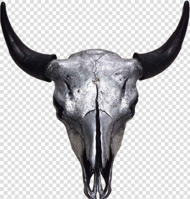 Silver Bison Skull   Horn  HD Png DownloadTransparent PNG