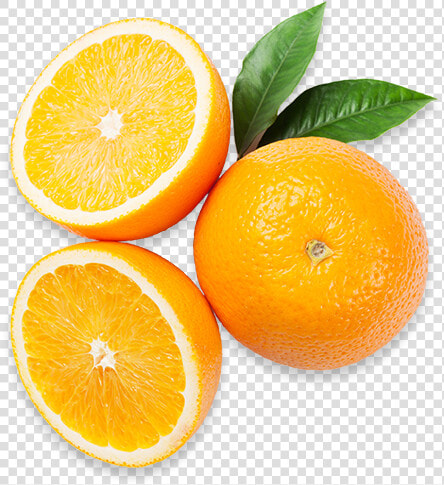 Oranges  Americas Breakroom   Orange  HD Png DownloadTransparent PNG