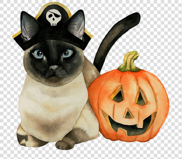 Halloween Siamese Cat  HD Png DownloadTransparent PNG