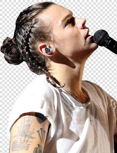 Harry Styles Braid Hair  HD Png DownloadTransparent PNG