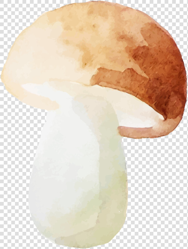 Shiitake  HD Png DownloadTransparent PNG