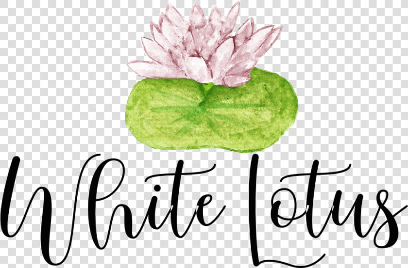 White Lotus Merchandise  HD Png DownloadTransparent PNG