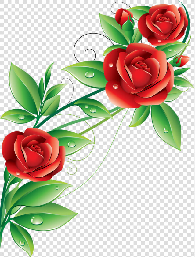 Изображение Для Плейкаста   Free Download Images Of Beautiful Flowers  HD Png DownloadTransparent PNG