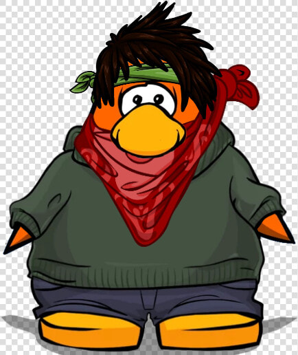 Kermit Costume Club Penguin  HD Png DownloadTransparent PNG