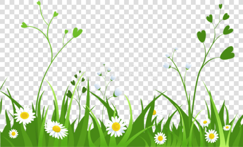 Download Daisies With Grasspicture Png Images Background   Garden Clipart Transparent Background  Png DownloadTransparent PNG