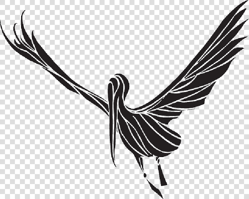 Baby Silhouette Bird Flying Wings Stork Fly Public  HD Png DownloadTransparent PNG