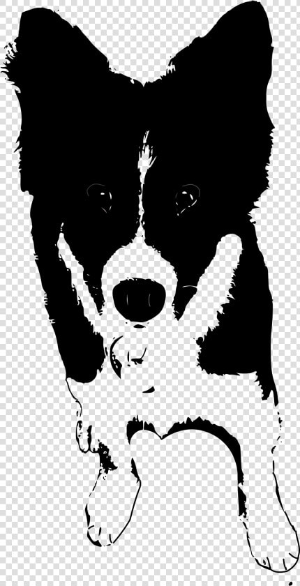 Border Collie Rough Collie Puppy Clip Art   Dogs Clipart Black And White Collie  HD Png DownloadTransparent PNG