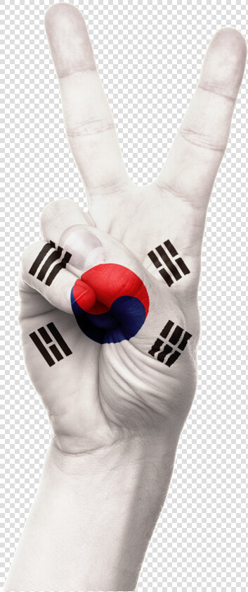 Hand South Korea Flag   South Korea Flag  HD Png DownloadTransparent PNG