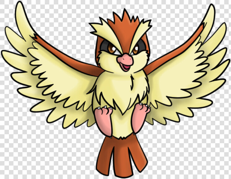 Htlr   Pidgey Png  Transparent PngTransparent PNG