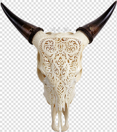 Texas Longhorn English Longhorn Animal Skulls Cow S   Engraved Cow Skull  HD Png DownloadTransparent PNG