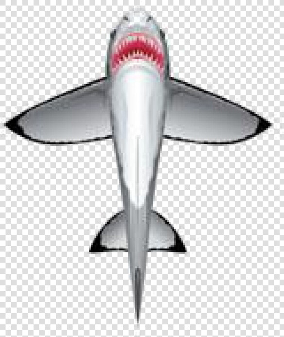 Image Of Great White Shark Kite   Kite  HD Png DownloadTransparent PNG