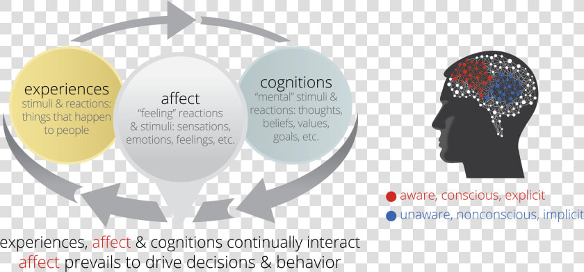 Emotional Dynamic Diagram   Emotional Dynamics  HD Png DownloadTransparent PNG