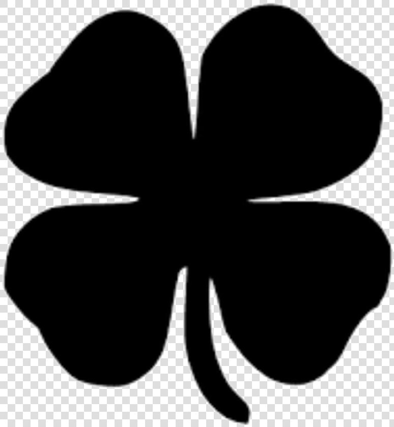 4 Leaf Clover Png Photo Background   4 Leaf Clover Transparent  Png DownloadTransparent PNG