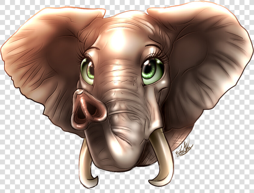 Beautiful Eyes  How Time Flies    Indian Elephant  HD Png DownloadTransparent PNG