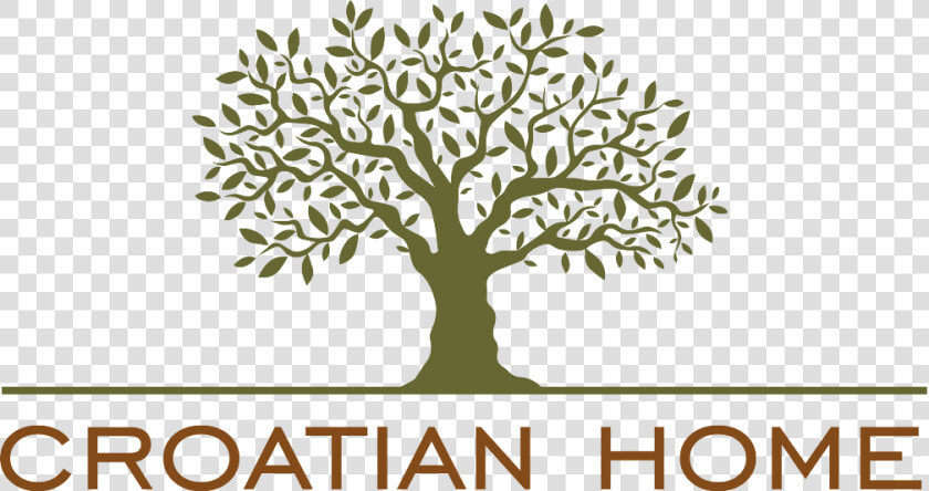 Croatian Home Logo   Olive Tree Silhouette Png  Transparent PngTransparent PNG