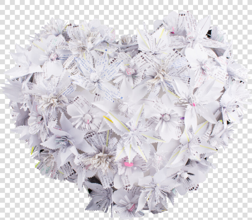 0 0 1 23 132 Clinica Verde 1 1 154   Bouquet  HD Png DownloadTransparent PNG