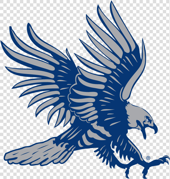 Clip Art Blue Hawk Logos   Dickinson State Blue Hawks  HD Png DownloadTransparent PNG