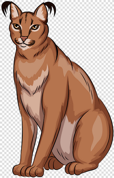 Caracal Clipart  HD Png DownloadTransparent PNG