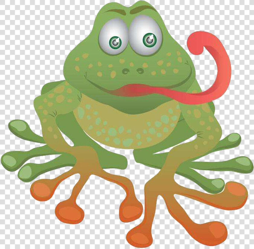 Tongue Frog Png   Bufo  Transparent PngTransparent PNG