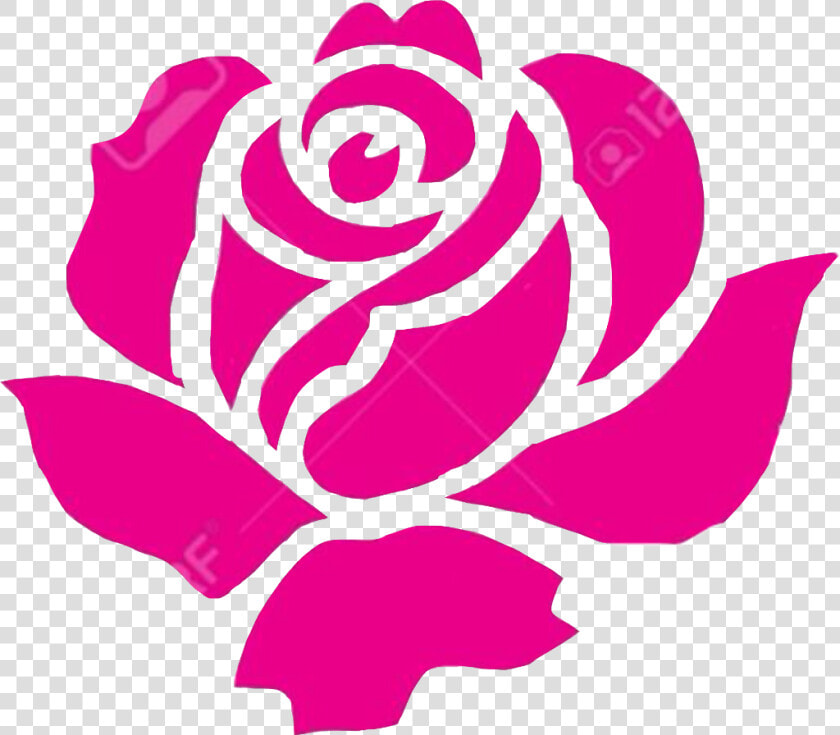  rose  flower  plant  roseart  remixit  freetoedit   Garden Roses  HD Png DownloadTransparent PNG