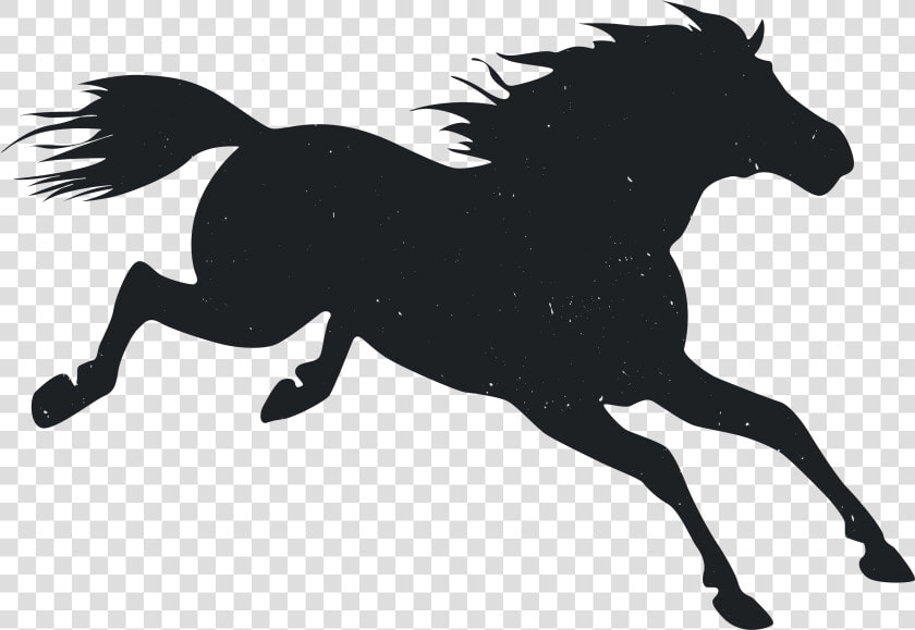 Mustang Pony Animal   Stallion  HD Png DownloadTransparent PNG