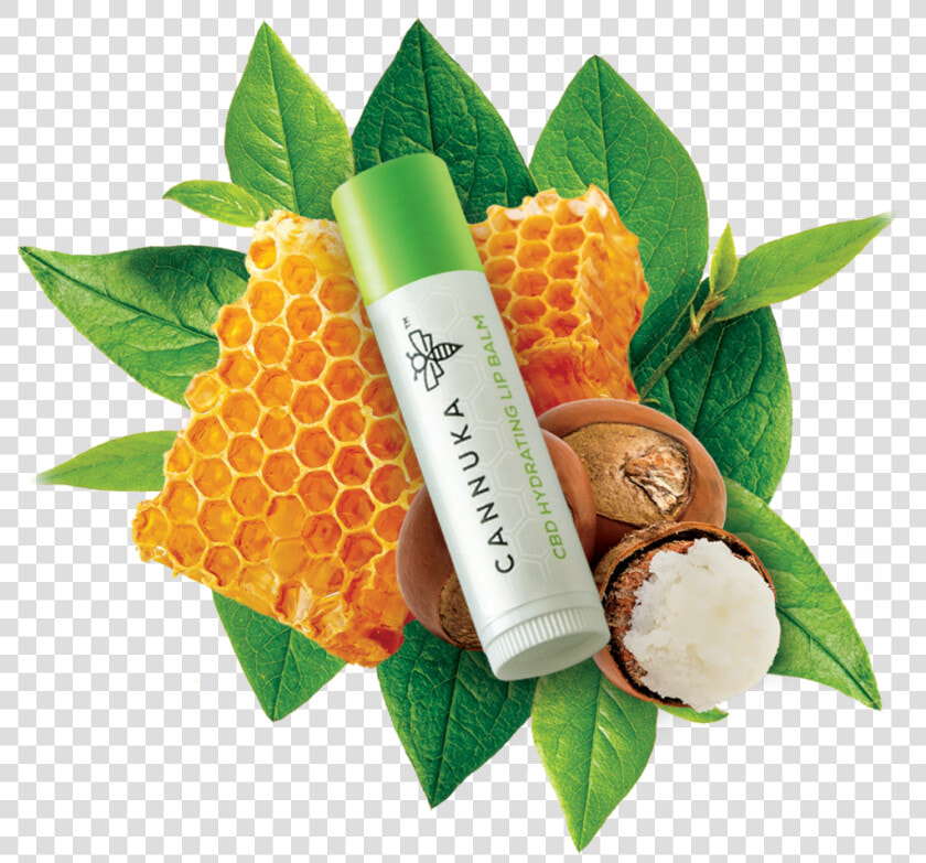 Data Image Id 7732946239548 Class Productimg Product   Cream  HD Png DownloadTransparent PNG