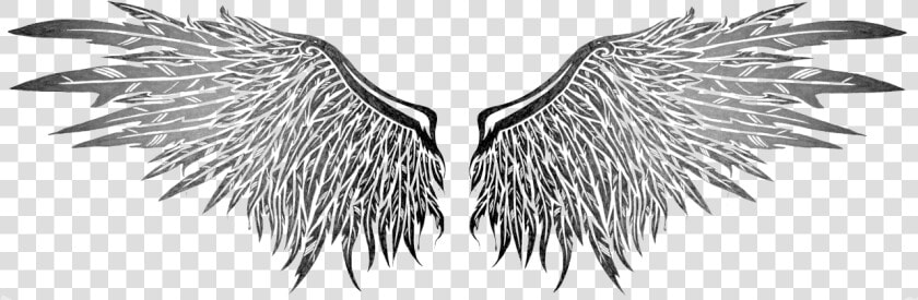 Wings Tattoos Png Image   Drawing Fallen Angel Wings  Transparent PngTransparent PNG