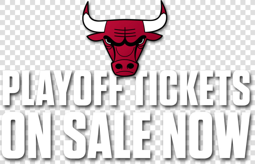 Chicago Bulls Png Logo   Chicago Bulls  Transparent PngTransparent PNG