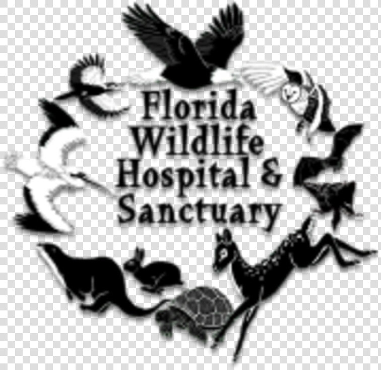 Running Wild 5k   Florida Wildlife Sanctuary  HD Png DownloadTransparent PNG