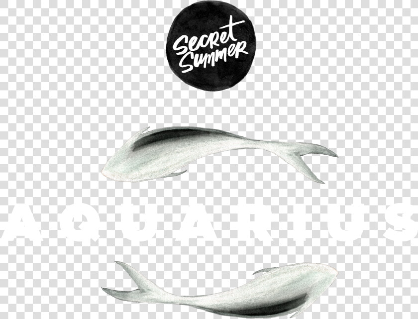 Sustainable Seafood   Png Download   Grey Whale  Transparent PngTransparent PNG